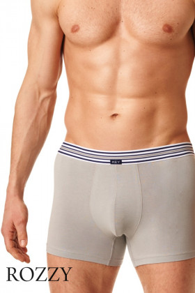 Трусы шорты мужские Key MXH 273 B22 светло-серый