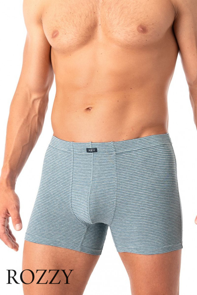 Трусы шорты мужские Key MXH 073 серый