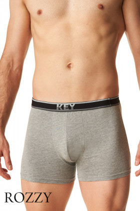 Трусы шорты мужские Key MXH 261 светло-серый
