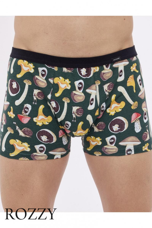 Трусы шорты мужские Cornette 280-7 темно-зеленый/коричневый