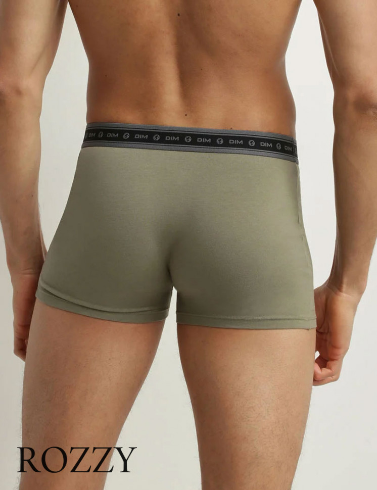 Трусы шорты мужские DIM 0A6C серый/зеленый (уп.2шт.)