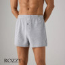 Трусы боксеры мужские Ysabel Mora 20373 светло-серый