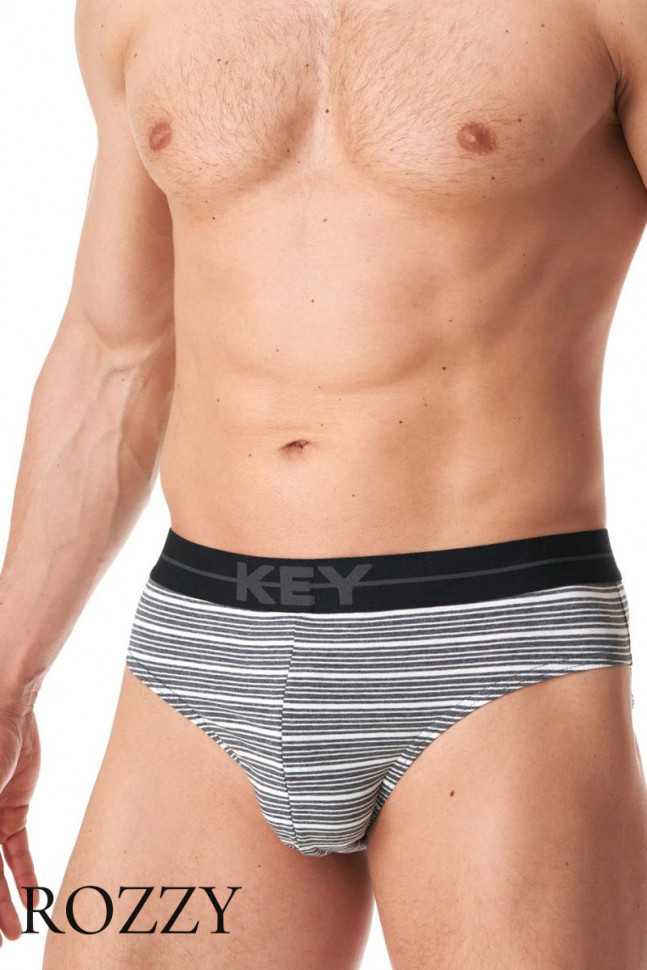 Трусы слипы мужские Key MPP 356 B23 серый/красный (уп.2шт.)