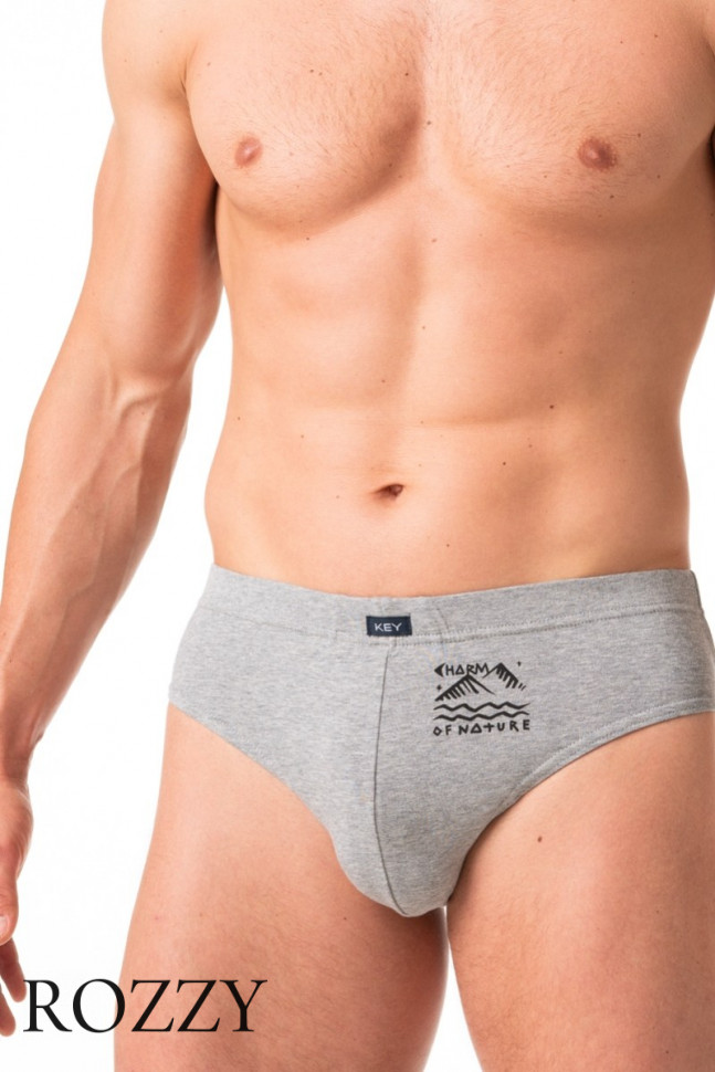 Трусы слипы мужские Key MPP 777 A24 светло-серый/черный (уп.2шт.)