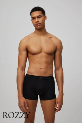 Трусы шорты мужские Ysabel Mora 20151 черный