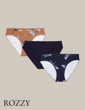 Трусы слипы хлопковые Esotiq Mia-Mia 42267 мультиколор (уп.3шт.)